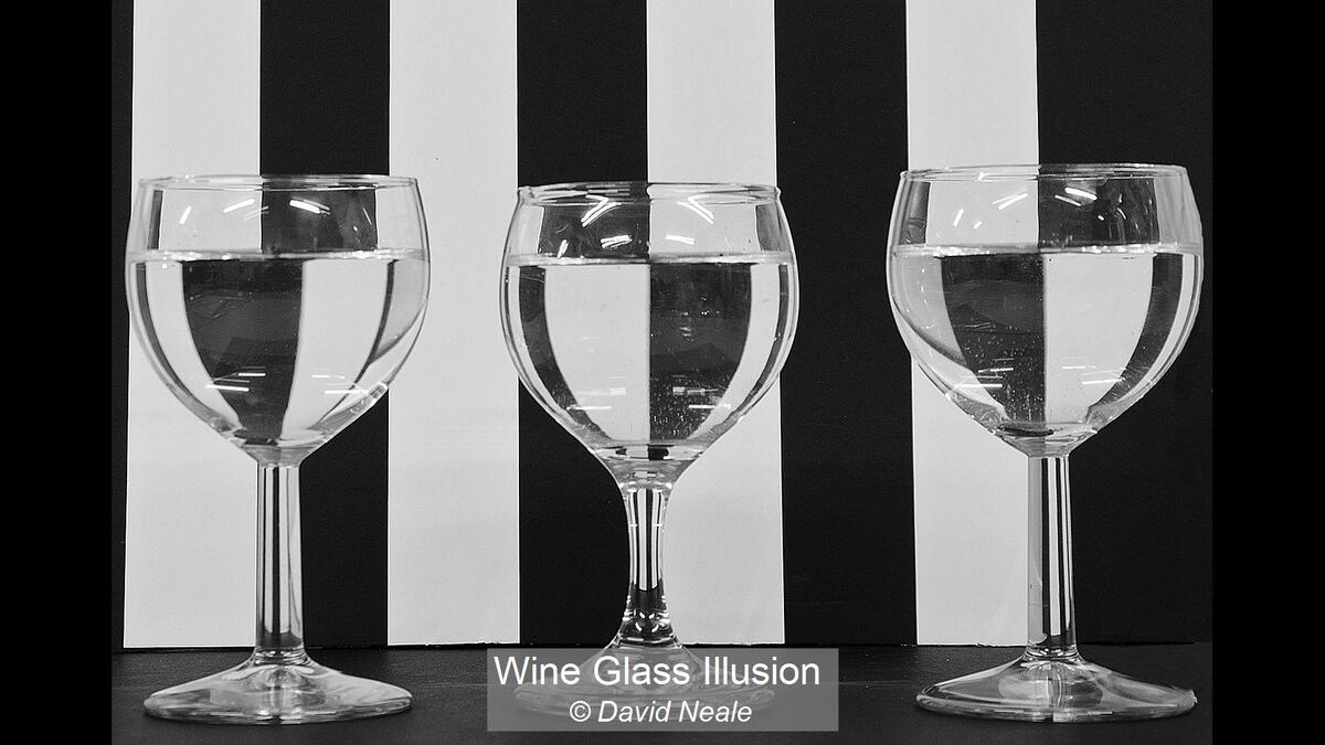 15_Wine Glass Illusion_David Neale